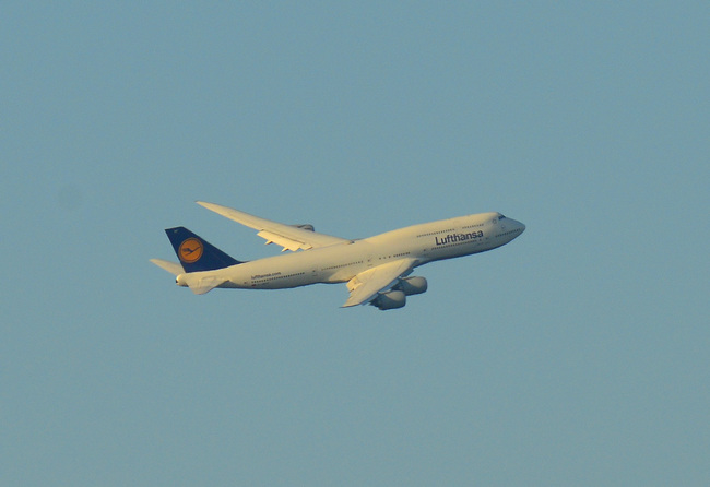 Lufthansa06.jpg